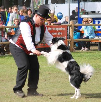 Dancing Paws